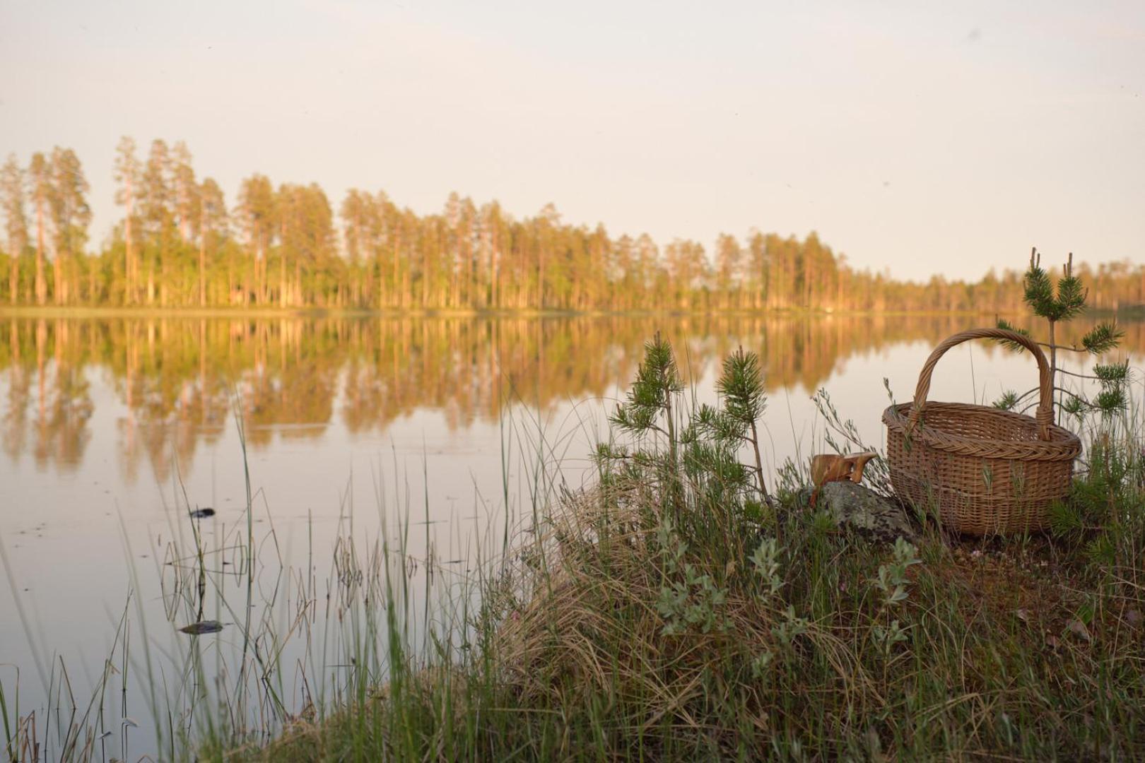 Langforsen Glamping & Lapland Experience Hotell Lapptrask Eksteriør bilde