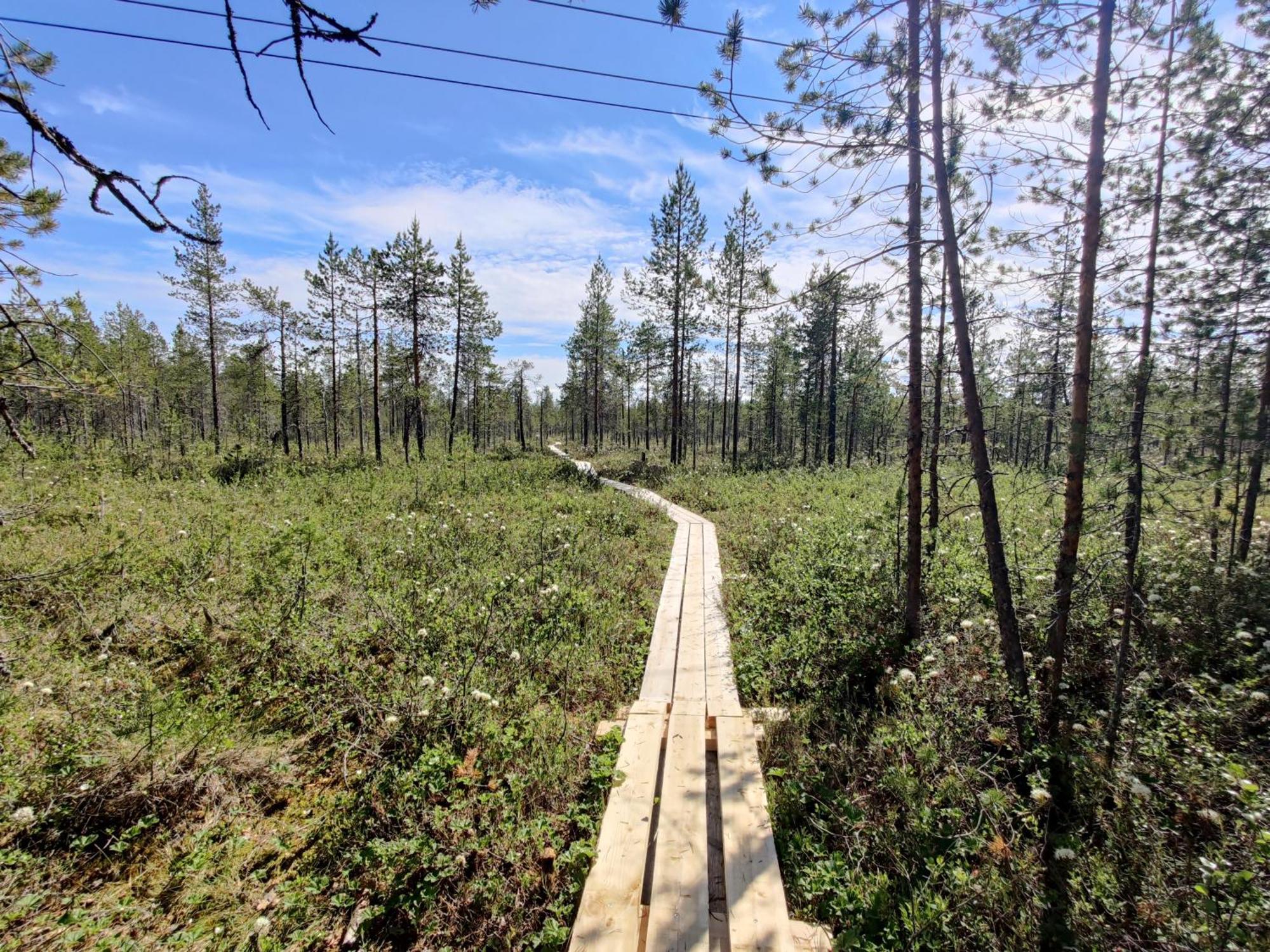 Langforsen Glamping & Lapland Experience Hotell Lapptrask Eksteriør bilde